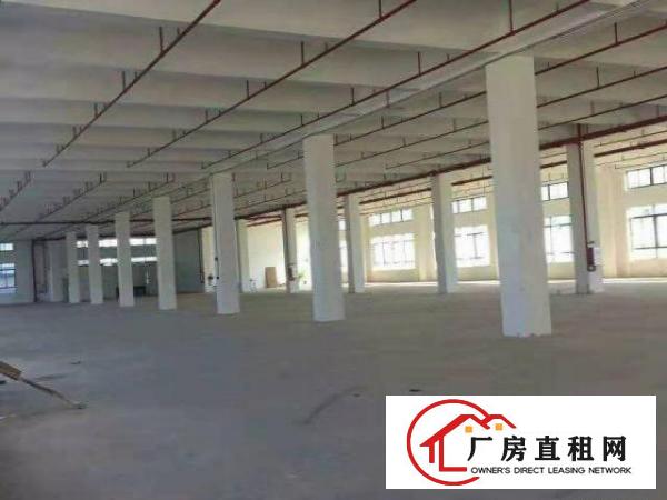 3000平厂房大小分租20/平