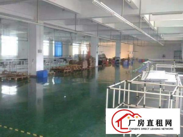  3000平厂房大小分租20/平
