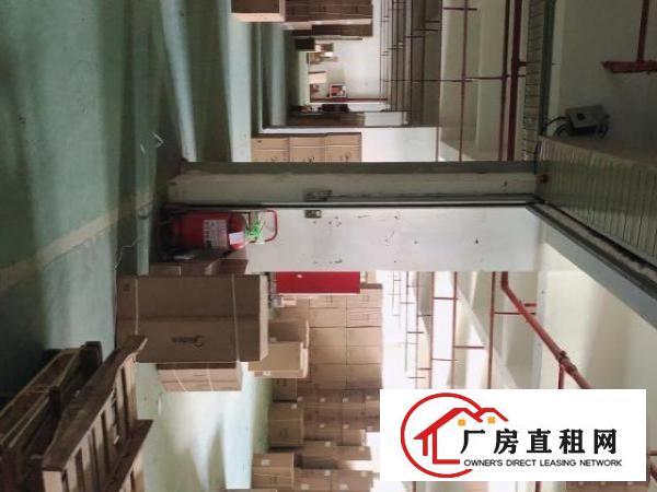  李朗十号线地铁站300米原房东仓库出租1500平