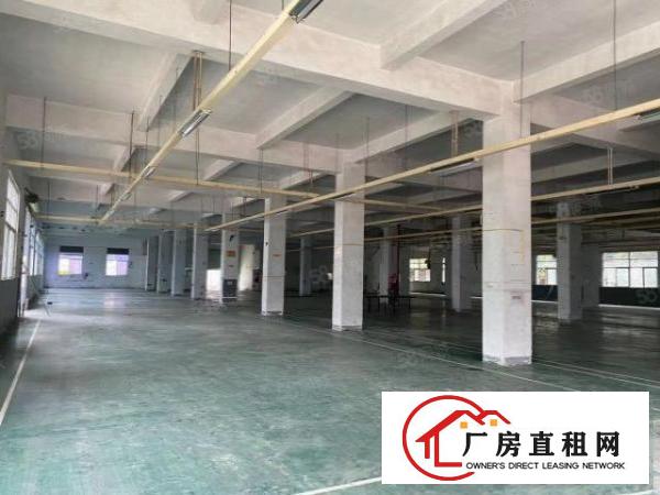  房东直租南岭一二楼各3100平厂房，高5.4米160平35元