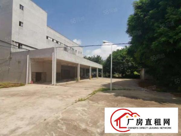  房东直租南岭一二楼各3100平厂房，高5.4米160平35元