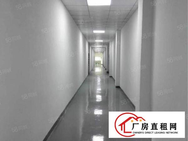  房东直租南岭一二楼各3100平厂房，高5.4米160平35元