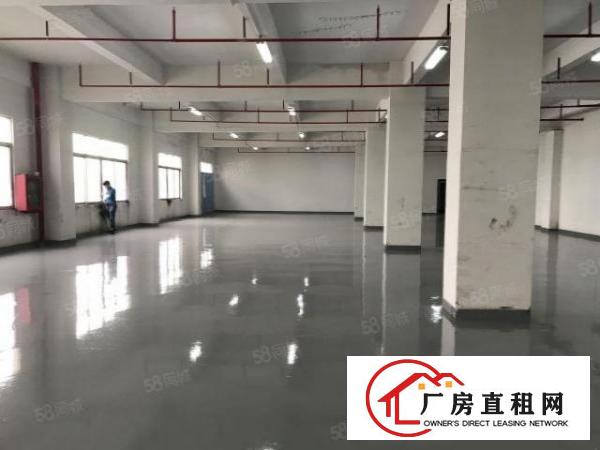  房东直租南岭一二楼各3100平厂房，高5.4米160平35元