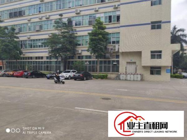  深圳布吉地铁口原房东红本精装修厂房大小面积分租20万补贴