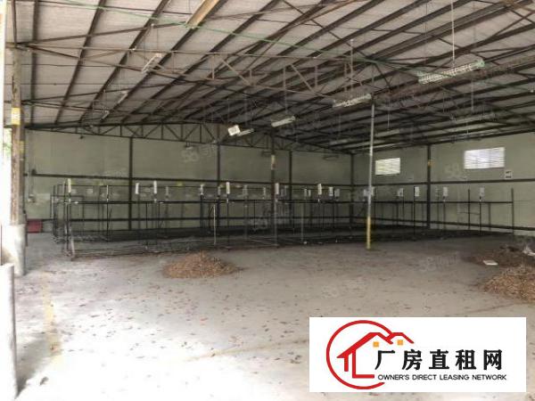  布吉丹竹头一楼2000平方大小分租，资源回收可做