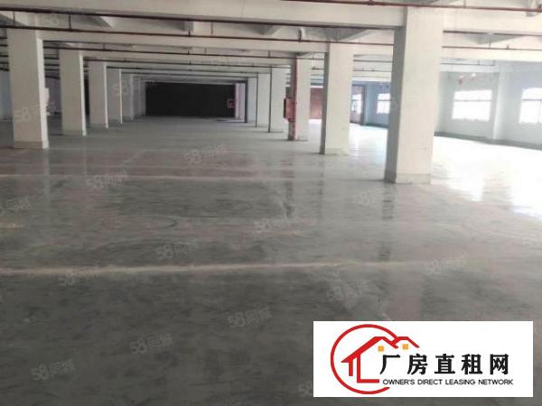  布吉丹竹头一楼2000平方大小分租，资源回收可做