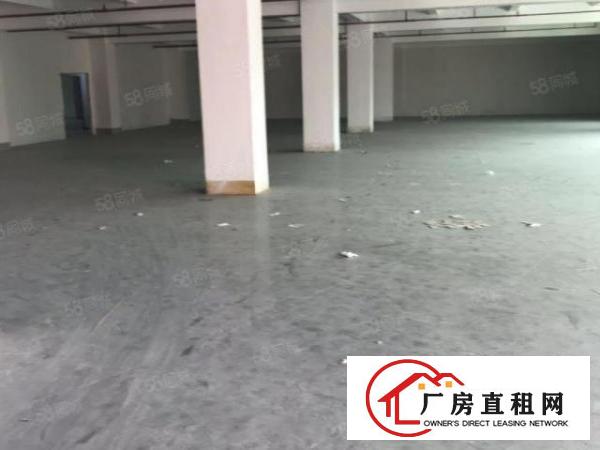  布吉丹竹头一楼2000平方大小分租，资源回收可做
