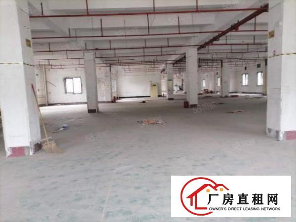  布吉大芬一手房东1至3楼厂房1000出租证件齐全100平起分