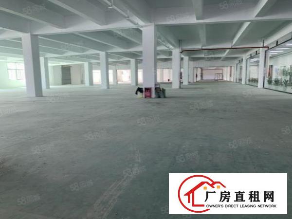  布吉大芬一手房东1至3楼厂房1000出租证件齐全100平起分