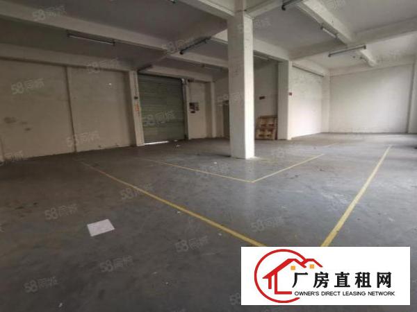  布吉李朗新出楼上1200平，带装修，水电齐全，园区配套齐全