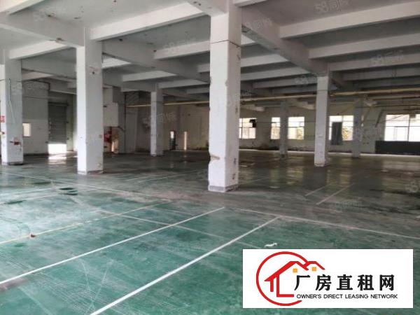  布吉李朗厂房500平1000平2000平3000平大小出租