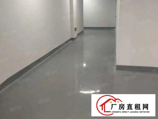  信义工业区单一层厂房1000平分租不限行业