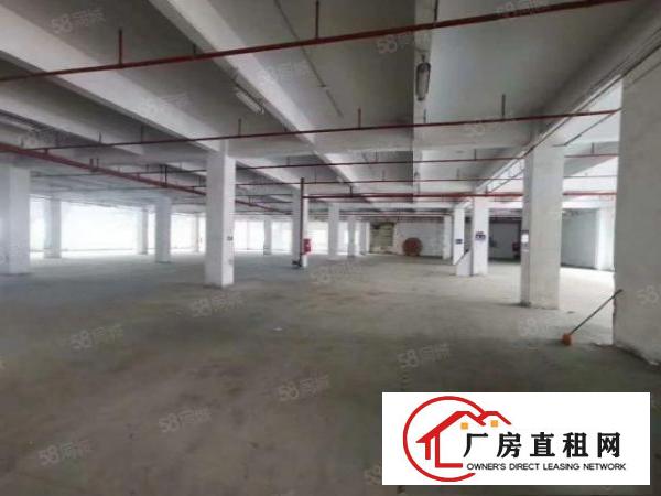  信义工业区单一层厂房1000平分租不限行业