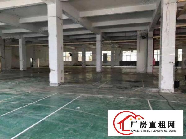  信义工业区单一层厂房1000平分租不限行业