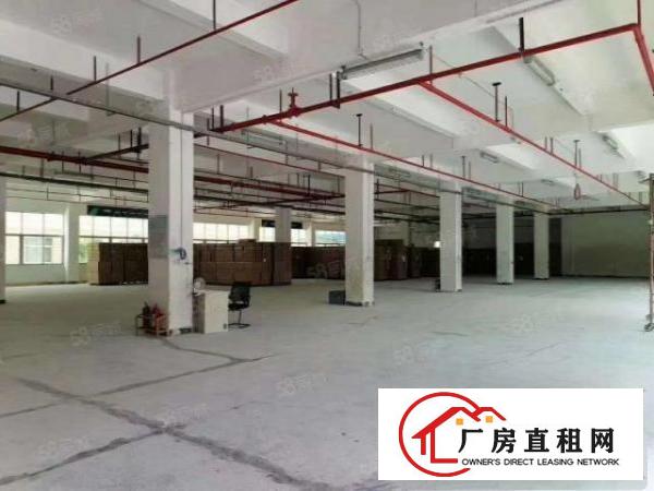  信义工业区单一层厂房1000平分租不限行业