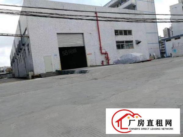  信义工业区单一层厂房1000平分租不限行业