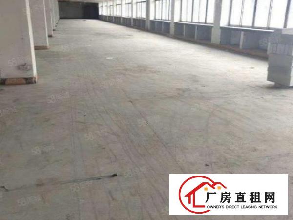  信义工业区单一层厂房1000平分租不限行业