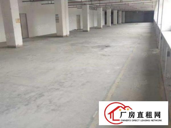 信义工业区单一层厂房1000平分租不限行业