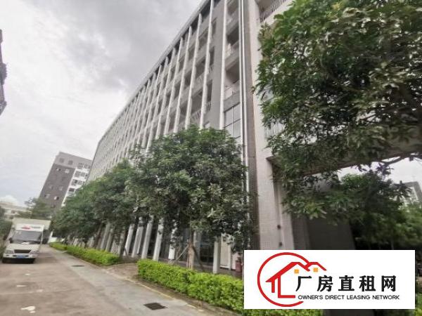  出租！原房东李朗新出楼上800坪精装厂房