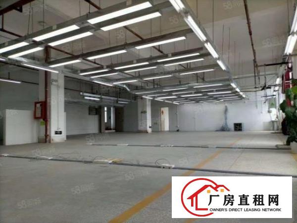  布吉上李朗地铁口楼上带装修厂房出租1000平方可分租