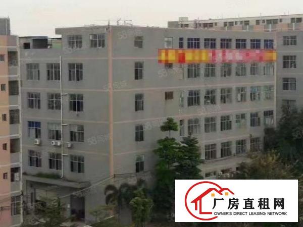  布吉上李朗地铁口楼上带装修厂房出租1000平方可分租