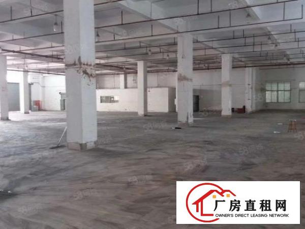  布吉上李朗地铁口楼上带装修厂房出租1000平方可分租