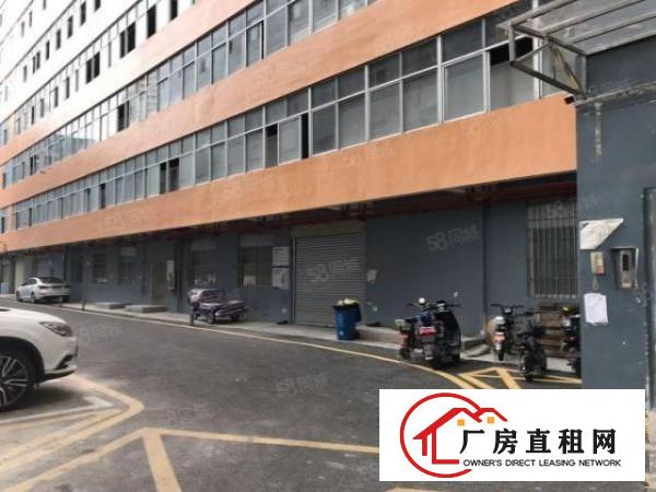  百门前工业区旁9成使用率一楼240平~电商配送仓