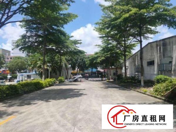  布吉坂慢城工业区1000平厂房分租精装修周边配套齐