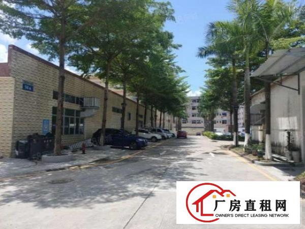  布吉坂慢城工业区1000平厂房分租精装修周边配套齐