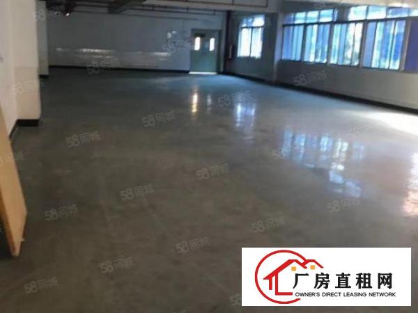  布吉南岭村7000平方厂房出租