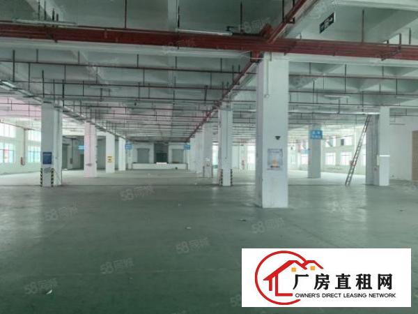  布吉地铁站原房东厂房1至5楼单层面积1000平大小可分租
