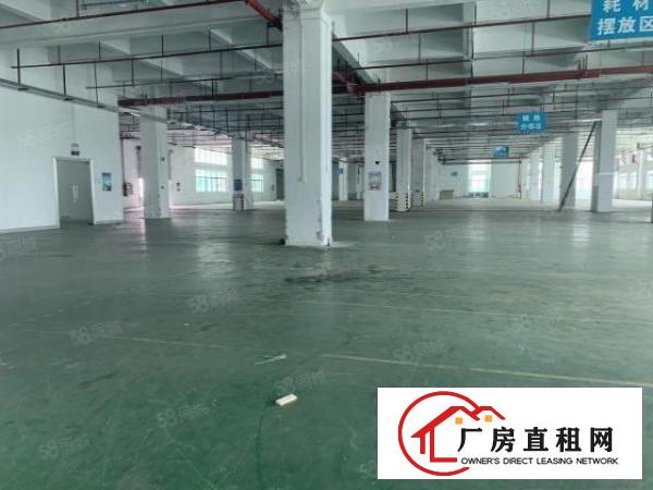  布吉地铁站原房东厂房1至5楼单层面积1000平大小可分租