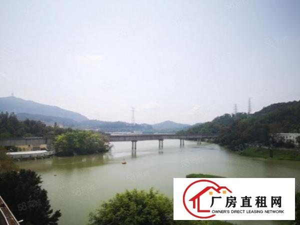  临近罗湖小型电商办公室出租，红本可注册