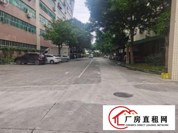  布吉地铁口2600大空地花园厂房带卸货平台，
