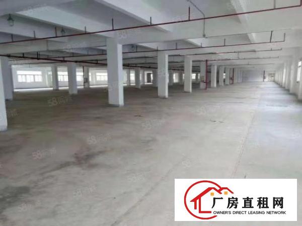  布吉地铁口2600大空地花园厂房带卸货平台，
