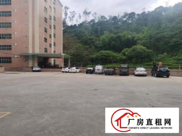  布吉地铁口2600大空地花园厂房带卸货平台，