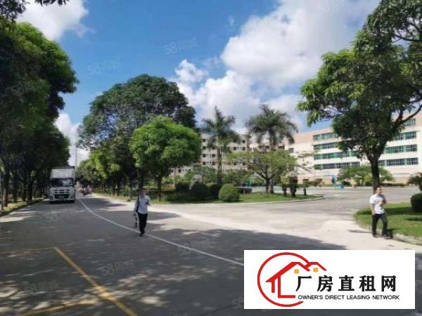  布吉地铁口2600大空地花园厂房带卸货平台，