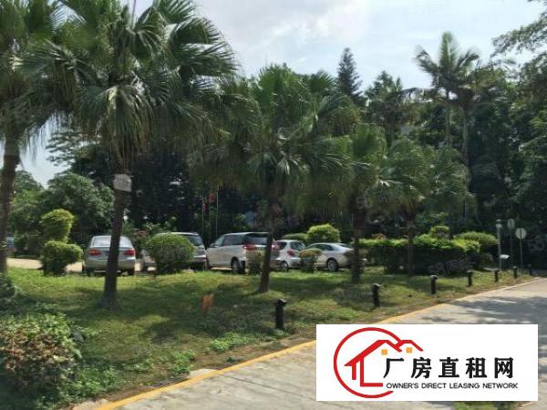  物业直租鑫丽华产业园楼上195平米，210平米单位出租