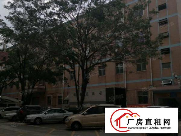  布吉丹竹头康桥花园旁简装小面积厂房，布吉地铁旁独立小面积出租