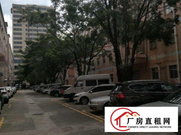  布吉丹竹头康桥花园旁简装小面积厂房，布吉地铁旁独立小面积出租