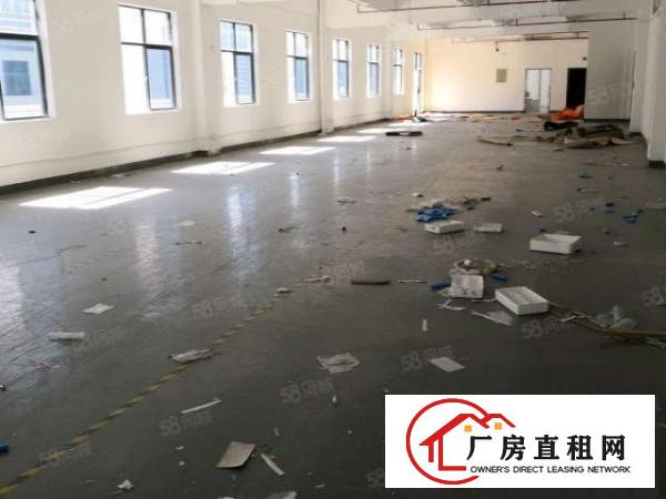  布吉丹竹头康桥花园旁简装小面积厂房，布吉地铁旁独立小面积出租