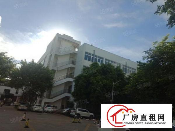  布吉百鸽笼2200平方红本厂房出租，，主干道，
