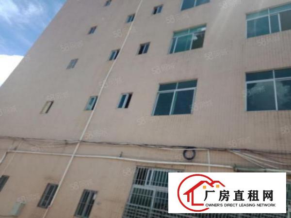  布吉百鸽笼2200平方红本厂房出租，，主干道，