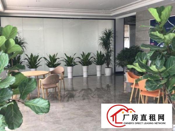  DF布吉南岭红本可注册小型仓储办公室出租