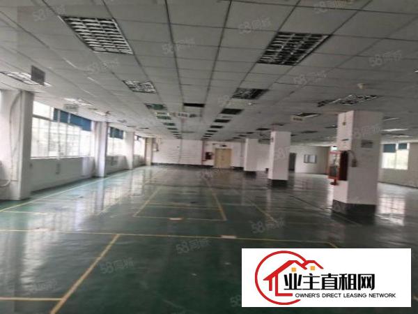  布吉新出工业园厂房1000平齐全可办环评