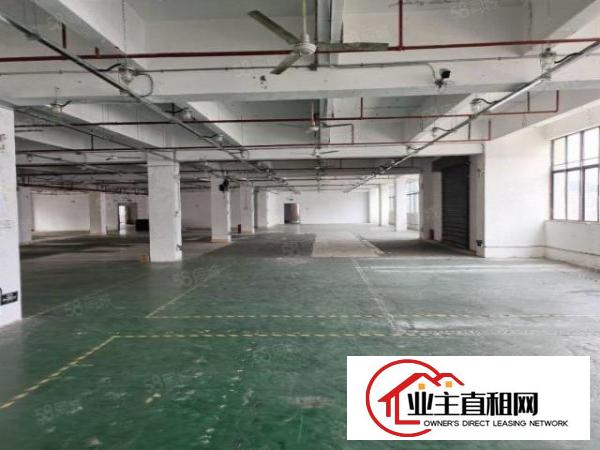  布吉新出工业园厂房1000平齐全可办环评