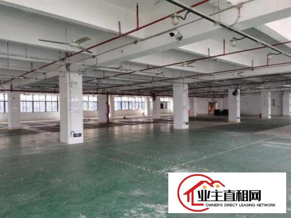  布吉新出工业园厂房1000平齐全可办环评