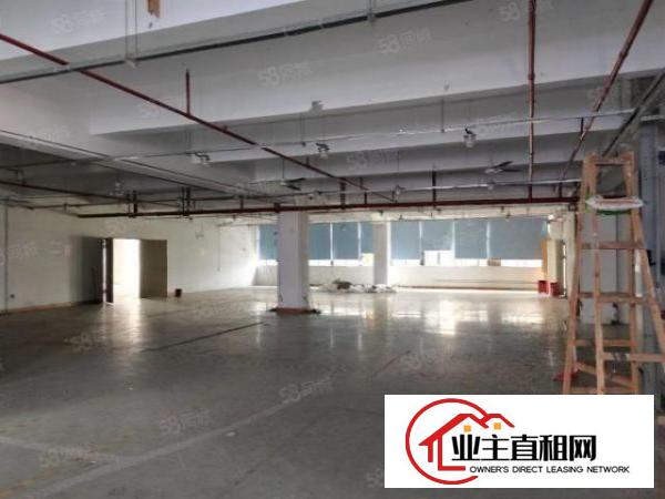  布吉新出工业园厂房1000平齐全可办环评