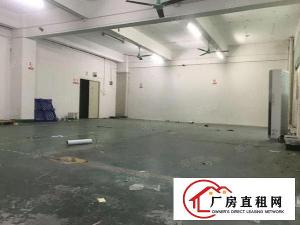  低价厂房100平，245平，800平，不限制行业，给钱就租！