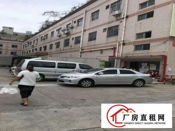  南岭南和工业区500平1200平1850平厂房仓库出租